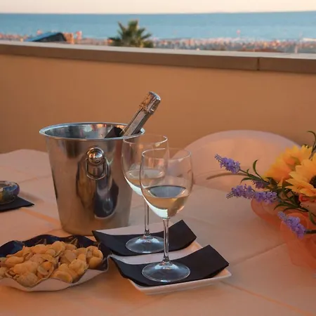 帕特瑞亚卡il公寓 *